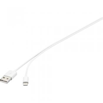 Basetech Apple Lightning priključni kabel za Apple iPod/iPad/iPhone 1 m